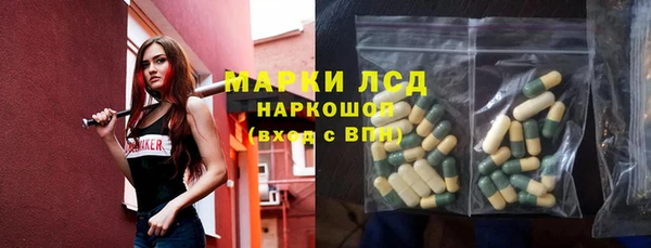 PSILOCYBIN Волосово