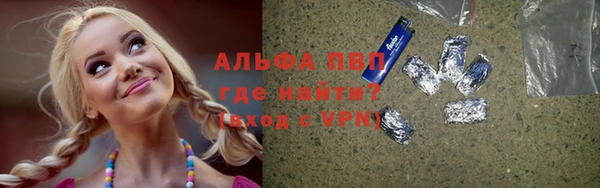 PSILOCYBIN Волосово