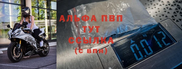 PSILOCYBIN Волосово