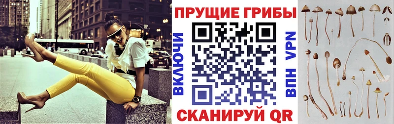 Галлюциногенные грибы мухоморы  Купить где  Новая Ладога 